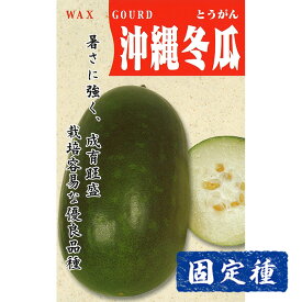 【トウガンの種】沖縄冬瓜 小袋 (4ml) 固定種 種子 タネ 野菜 果菜類 園芸 家庭菜園 畑 種まき 漬物