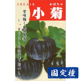【カボチャの種】 早生小菊南瓜 小袋 (10ml) 固定種 種子 タネ 野菜 かぼちゃ 果菜類 園芸 家庭菜園 畑 種まき