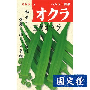 yIN̎z ܊pIN  (10ml) Œ q ^l  ʍؗ | ƒ؉  ܂