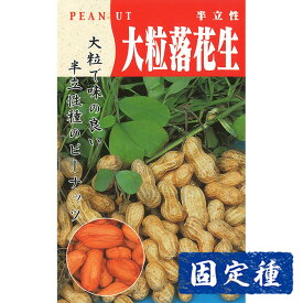【ラッカセイの種】 半立性大粒落花生 小袋 (25ml) 固定種 種子 タネ 野菜 まめ類 園芸 家庭菜園 畑 種まき