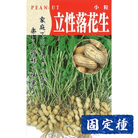 【ラッカセイの種】 立性落花生 小袋 (25ml) 固定種 種子 タネ 野菜 まめ類 園芸 家庭菜園 畑 種まき