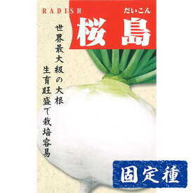 【ダイコンの種】桜島大根 小袋 (8ml) 固定種 種子 タネ 野菜 根菜類 園芸 家庭菜園 畑 種まき