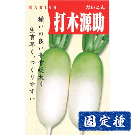 【ダイコンの種】打木源助大根 小袋 (10ml) 固定種 種子 タネ 野菜 青首大根 根菜類 園芸 家庭菜園 畑 種まき