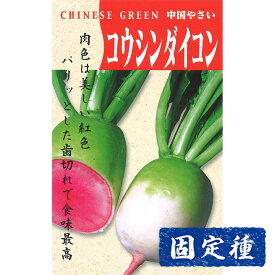 【ダイコンの種】紅芯大根 小袋 (6ml) 固定種 種子 タネ 野菜 青首大根 根菜類 園芸 家庭菜園 畑 種まき