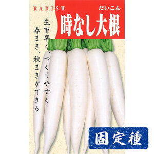 y_CR̎z卪  (10ml) Œ q ^l  卪 ؗ | ƒ؉  ܂