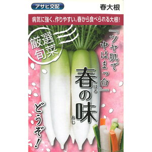 y_CR̎z ATqz Ǐt̖卪  (100) z q ^l  卪 ؗ | ƒ؉  ܂