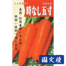 【ニンジンの種】時なし五寸人参 小袋 (8ml) 固定種 種子 タネ 野菜 根菜類 園芸 家庭菜園 プランター栽培 種まき