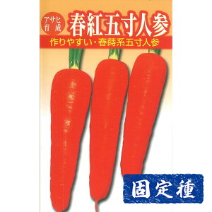 yjW̎zATq琬 tgܐlQ  (8ml) Œ q ^l  ؗ | ƒ؉ v^[͔| ܂