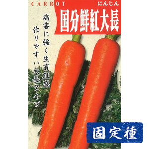 yjW̎zNg咷lQ  (4ml) Œ q ^l  ؗ | ƒ؉ v^[͔| ܂