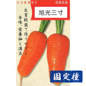 yjW̎z ATq琬 OlQ  (6ml) Œ q ^l  ؗ | ƒ؉ v^[͔| ܂