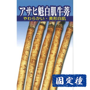 yS{E̎zATq琬 @  (10ml) Œ q ^l  ؗ | ƒ؉ ͔| ܂