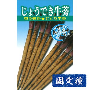 yS{E̎zATq琬 傤ł  (8ml) Œ q ^l  ؗ | ƒ؉ ͔| ܂