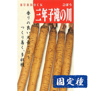 yS{E̎z ONq̐싍  (10ml) Œ q ^l  ؗ | ƒ؉ ͔| ܂