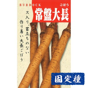 yS{E̎z Ց咷  (10ml) Œ q ^l  ؗ | ƒ؉ ͔| ܂