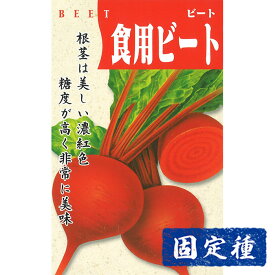 【ビーツの種】 デトロイドダークレッド 小袋 (8ml) 固定種 種子 タネ 野菜 根菜類 園芸 家庭菜園 畑 種まき