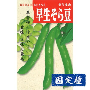 y\}̎z\  (30ml) Œ q ^l  ܂ߗ | ƒ؉  ܂