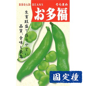 y\}̎z\  (7) Œ q ^l  ܂ߗ | ƒ؉  ܂