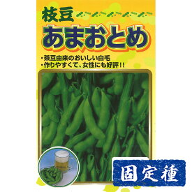 【エダマメの種】 アサヒ育成 あまおとめ枝豆 小袋 (30ml) 固定種 種子 タネ 野菜 まめ類 園芸 家庭菜園 畑 種まき