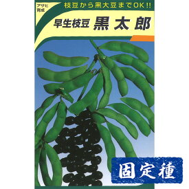【エダマメの種】 アサヒ育成 黒太郎枝豆 小袋 (30ml) 固定種 種子 タネ 野菜 まめ類 園芸 家庭菜園 畑 種まき