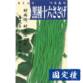 【ササゲ・インゲンの種】黒種十六ささげ 小袋 (10ml) 固定種 種子 タネ 野菜 まめ類 園芸 家庭菜園 畑 種まき