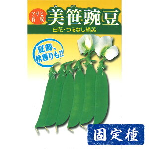 yGhE̎z ATq琬 GhE  (20ml) Œ q ^l  Os[X ܂ߗ | ƒ؉  ܂