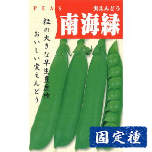 yGhE̎z CΎǂ  (25ml) Œ q ^l  Os[X ܂ߗ | ƒ؉  ܂