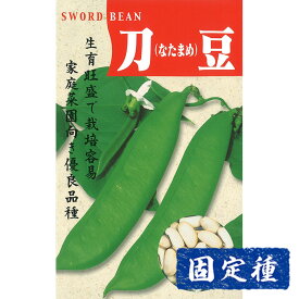 【ナタマメの種】 白大刀豆 小袋 (8粒) 固定種 種子 タネ 野菜 まめ類 園芸 家庭菜園 畑 種まき