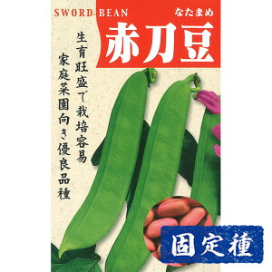 yi^}̎z ԑ品  (8) Œ q ^l  ܂ߗ | ƒ؉  ܂