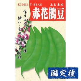 【フジマメの種】 赤花フジマメ 小袋 (10ml) 固定種 種子 タネ 野菜 まめ類 園芸 家庭菜園 畑 種まき