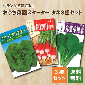 y؂̃^lz ؉ X^[^[3ZbgbO[TX^[/Ԕ͂卪/ۗt؁bƒ؉ q SҌ x_؉ v^[͔| ȒP [t^X 卪 