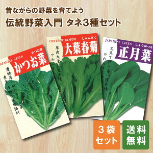 y؂̃^lz` 3Zbgb/tte/؁bƒ؉ q Zbg SҌ v^[͔| ȒP {̓` Œ ݗ ^l  1000~|bL