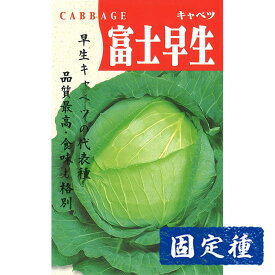 【キャベツの種】富士早生甘藍 小袋 (1.6ml) 固定種 種子 タネ 野菜 葉菜類 園芸 家庭菜園 畑 種まき