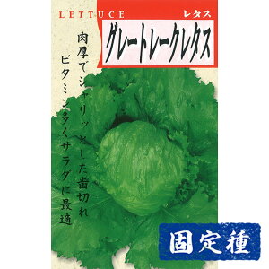 y^X̎z O[g[N  (2ml) Œ q ^l  tؗ | ƒ؉  ܂