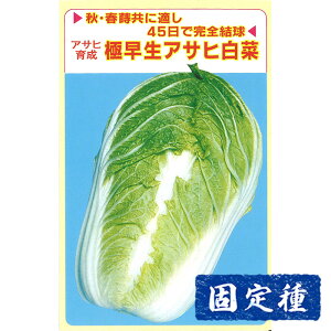 ynNTC̎z ATq琬 ɑATq  (3ml) Œ q ^l  tؗ | ƒ؉ v^[͔| ܂
