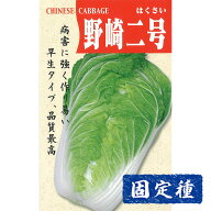 【ハクサイの種】 野崎二号白菜 小袋 (8ml) 固定種 種子 タネ 野菜 葉菜類 園芸 家庭菜園 畑 種まき