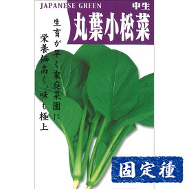 【コマツナの種】丸葉小松菜 小袋 (12ml) 固定種 種子 タネ 野菜 葉菜類 園芸 家庭菜園 プランター栽培 種まき