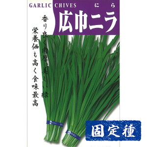 yj̎zLЃj  (6ml) Œ q ^l  tؗ | ƒ؉ ܂