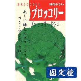【ブロッコリーの種】ブロッコリードシコ 小袋 (3ml) 固定種 種子 タネ 野菜 緑花椰菜 葉菜類 園芸 家庭菜園 種まき