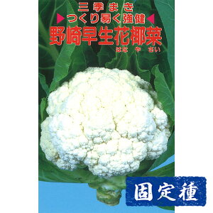 yJt[̎z 葁Ԟ  (1ml) Œ q ^l  tؗ | ƒ؉  ܂