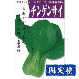 【チンゲンサイの種】チンゲンサイ 小袋 (10ml) 固定種 種子 タネ 野菜 青梗菜 葉菜類 園芸 家庭菜園 プランター栽培 種まき