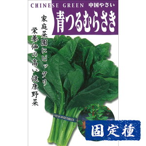 yނ炳̎zނ炳  (7ml) Œ q ^l  tؗ | ƒ؉ v^[͔| ܂