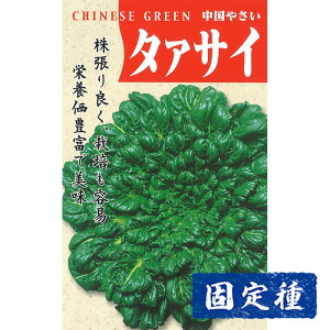 yt؂̎z ^@TC  (10ml) Œ q ^l  tؗ | ƒ؉ v^[͔| ܂