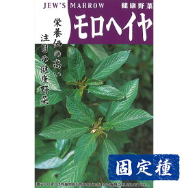 【モロヘイヤの種】モロヘイヤ 小袋 (2ml) 固定種 種子 タネ 野菜 葉菜類 園芸 家庭菜園 プランター栽培 種まき