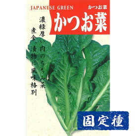 【タカナの種】かつお菜 小袋 (10ml) 固定種 種子 タネ 野菜 葉菜類 園芸 家庭菜園 プランター栽培 種まき