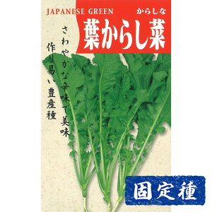 yJVi̎zt炵  (10ml) Œ q ^l  tؗ | ƒ؉ v^[͔| ܂