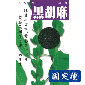 【ゴマの種】黒胡麻 小袋 (10ml) 固定種 種子 タネ 野菜 雑穀 園芸 家庭菜園 畑 種まき
