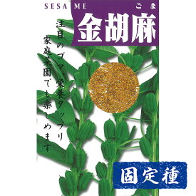 【ゴマの種】金胡麻 小袋 (10ml) 固定種 種子 タネ 野菜 雑穀 園芸 家庭菜園 畑 種まき