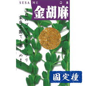 yS}̎zӖ  (10ml) Œ q ^l  G | ƒ؉  ܂