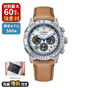 �y�撅���T�t���zCITIZEN PROMASTER �v���}�X�^�[ SKY�V���[�Y Blue Impulse ����500�{ CA4661-09A
