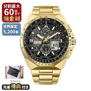 �y�撅���T�t���zCITIZEN �V�`�Y�� PROMASTER �v���}�X�^�[ �G�R�E�h���C�u 50���N���胂�f�� SKYHAWK JY8144-50E
